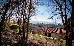 Casas Dos Avos