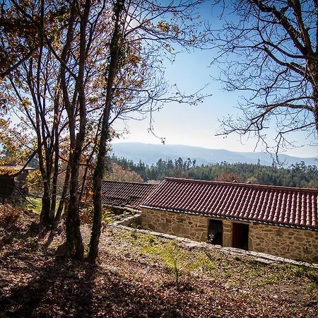 Maison d'hôtes Casas Dos Avos à Vale de Cambra Chambre photo